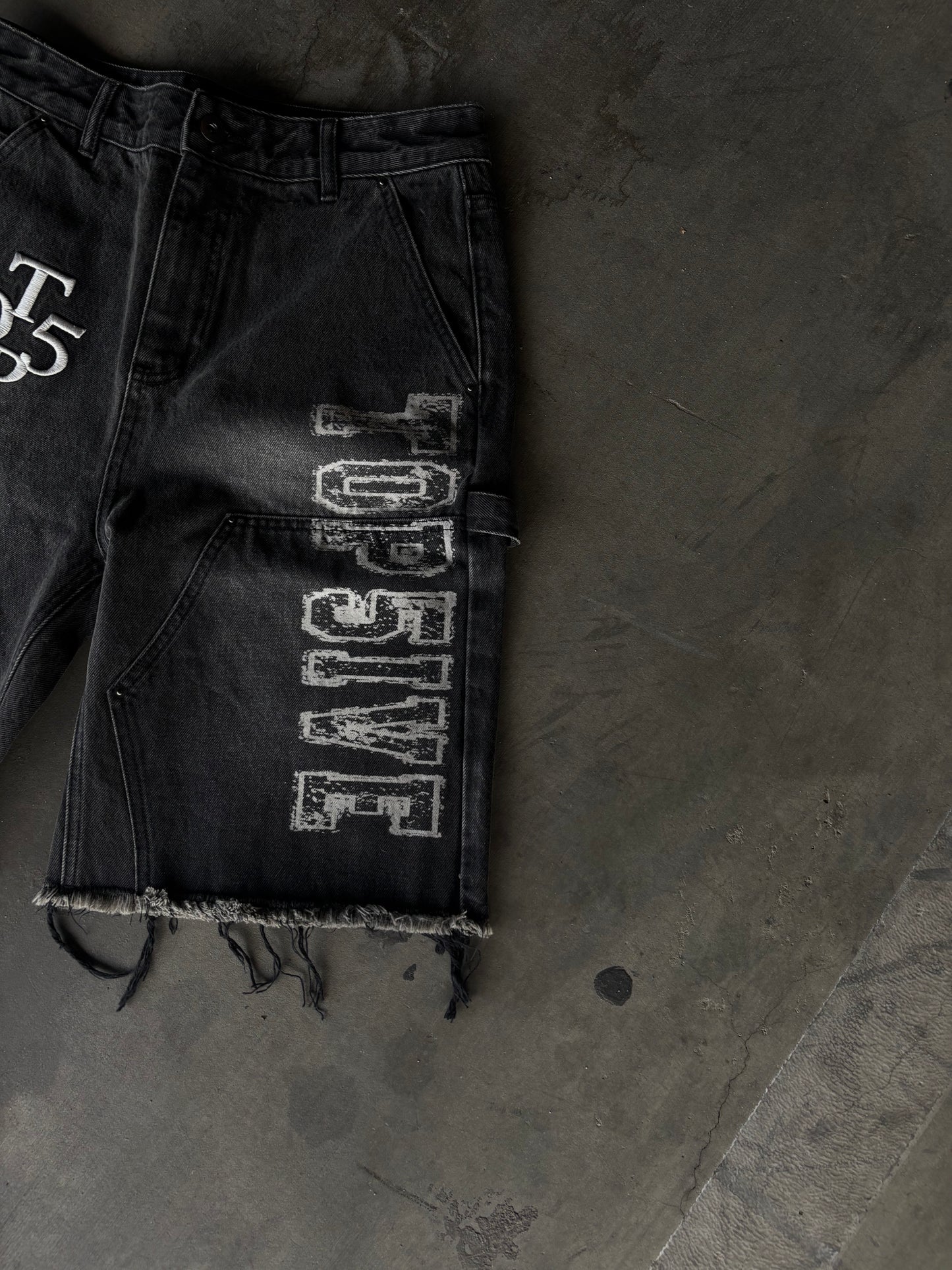 Carpenter “TOP5IVE” Jorts